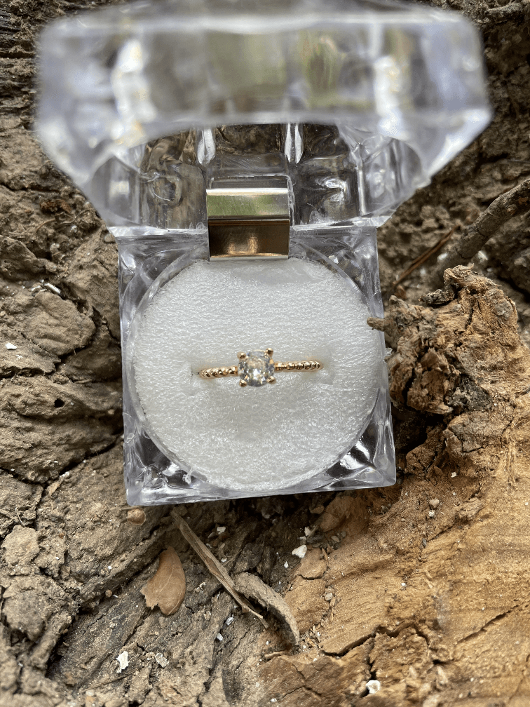 The Promise Ring - rings at AmbsbyMaria