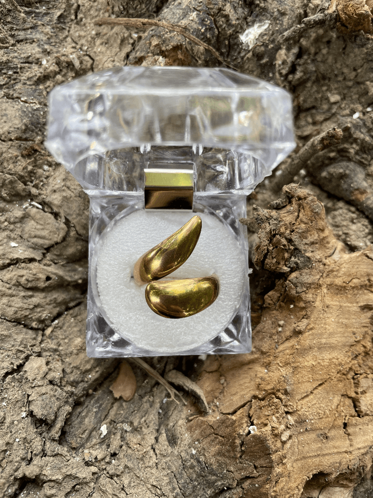 Golden Curve Ring - rings at AmbsbyMaria